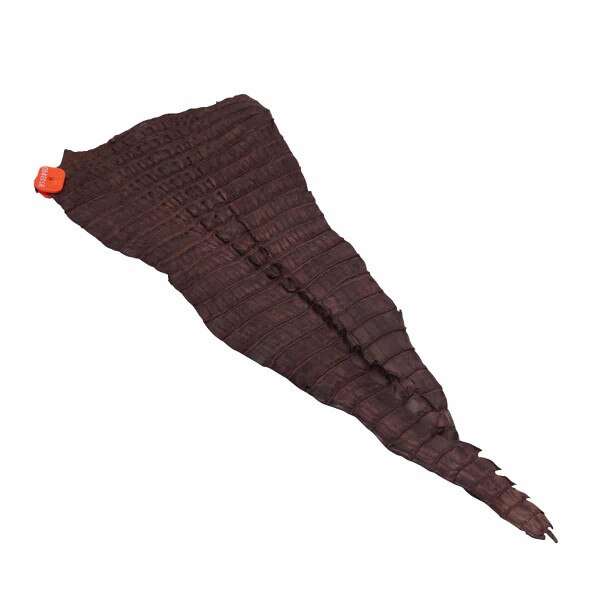 NCROC.Vintage Chocolate.Hornback.02.jpg Nile Crocodile Tails Image